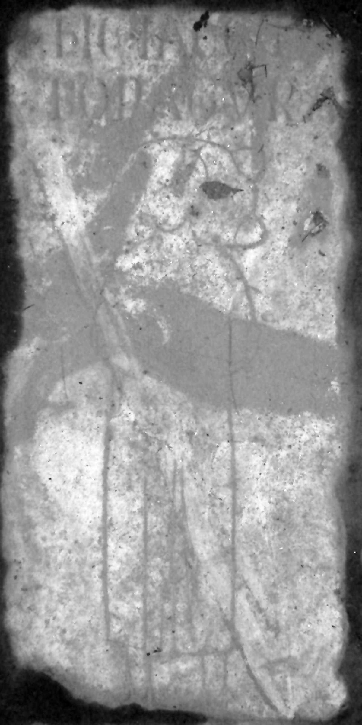 Bd_3_473.jpg
